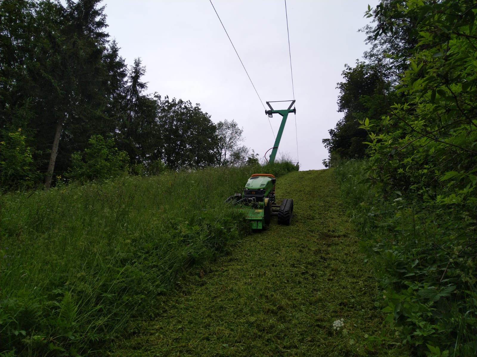 foto grünlandmulcher