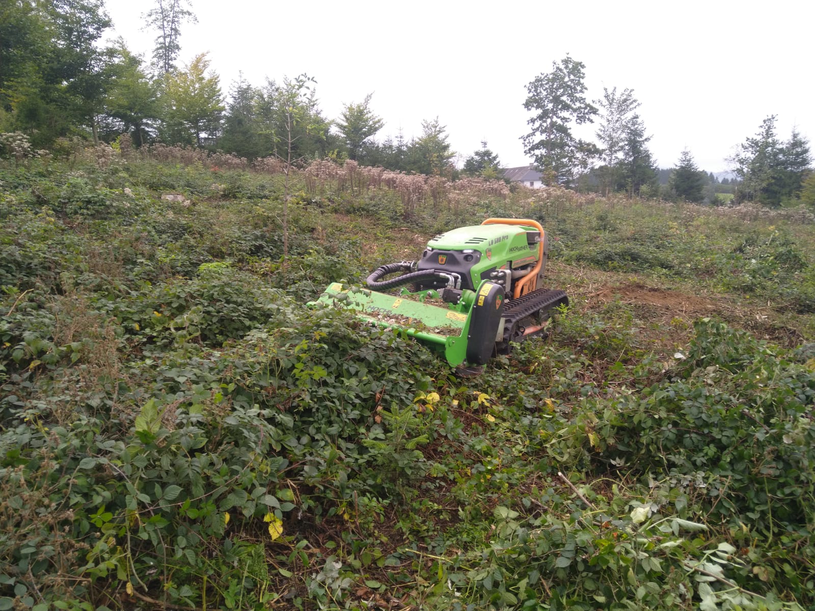 foto grünlandmulcher